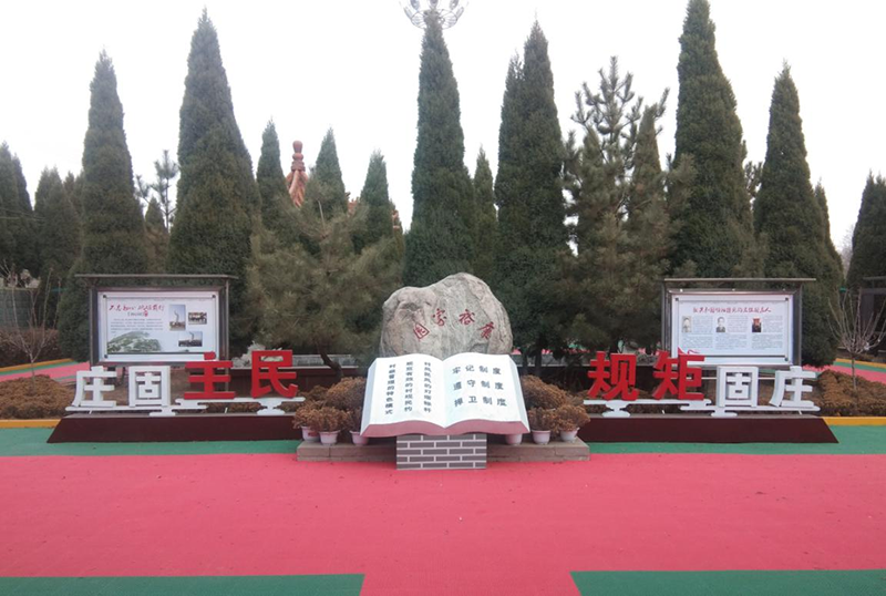图片11