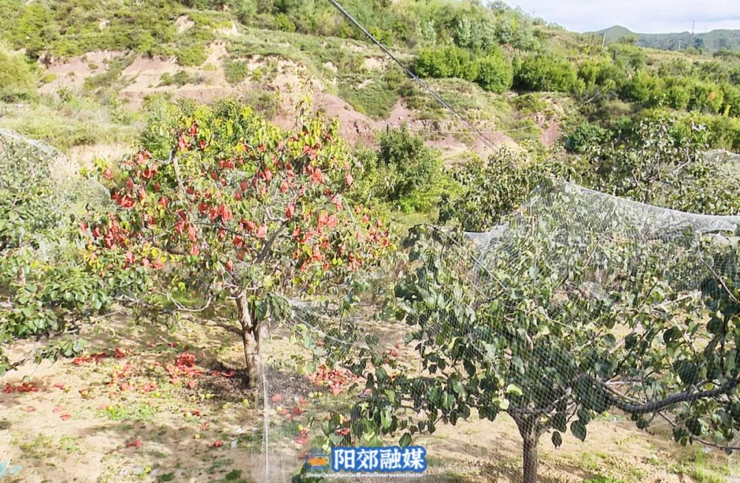微信图片_20231127150825