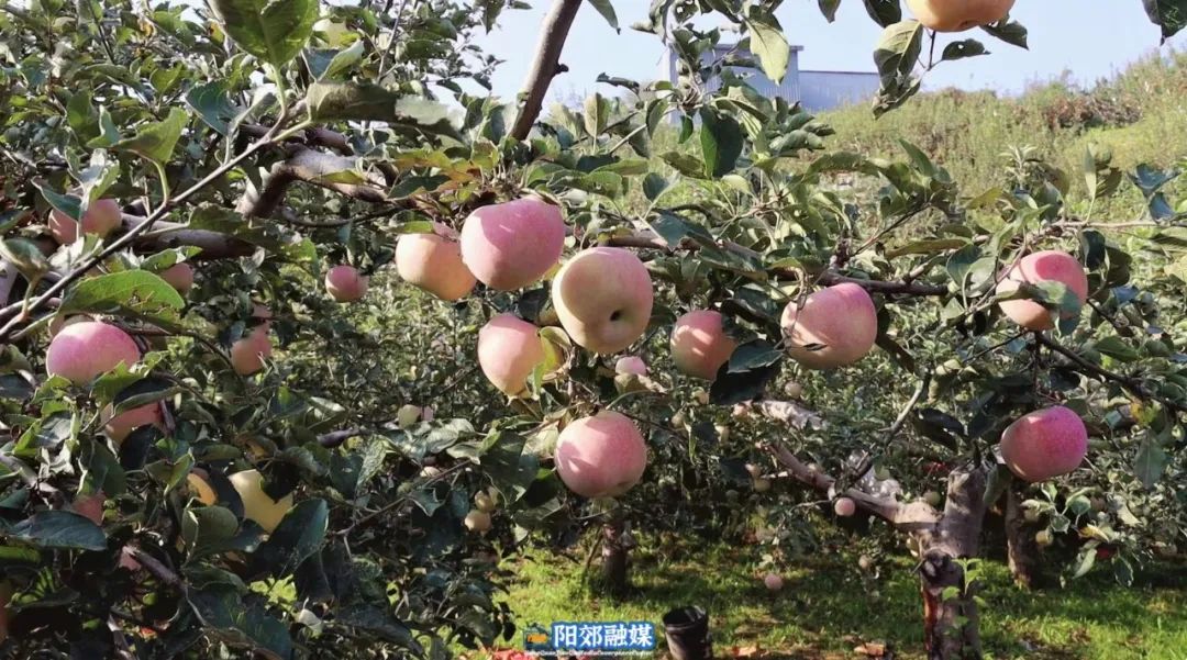 微信图片_20231125100959