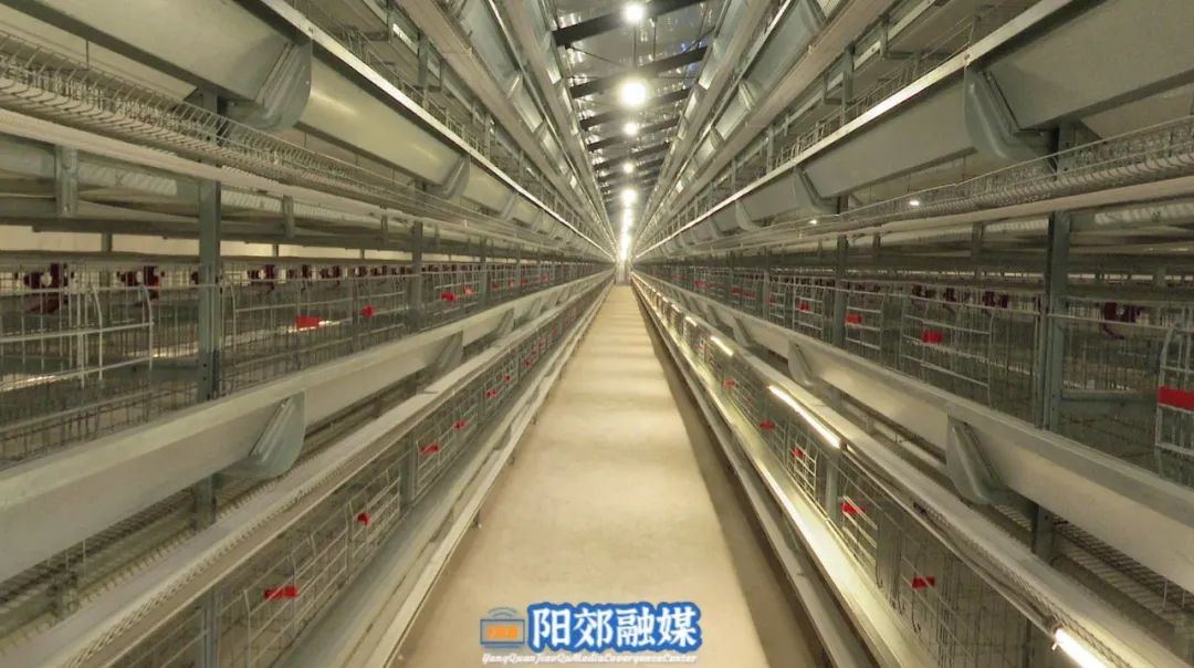 微信图片_20231227101724
