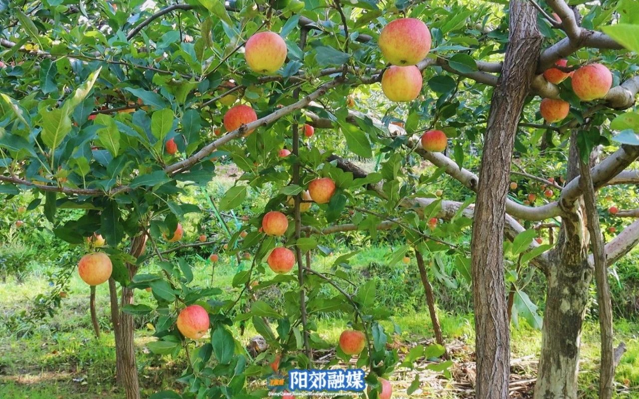 微信图片_20241106104815