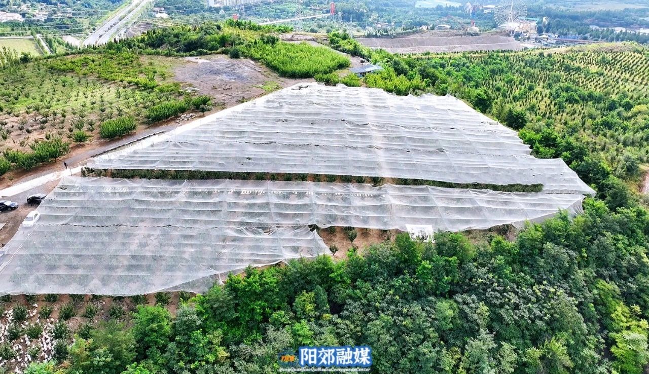 微信图片_20241106144234