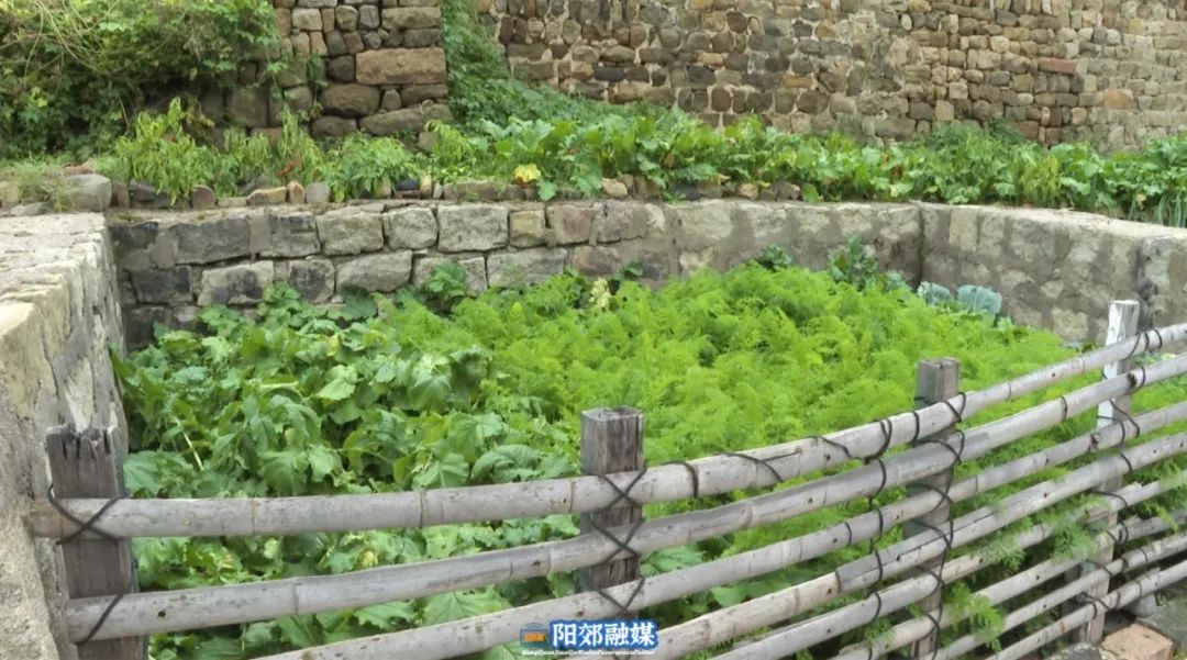 微信图片_20231125105233