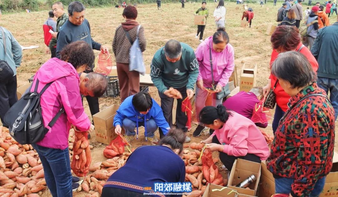 微信图片_20231127145621