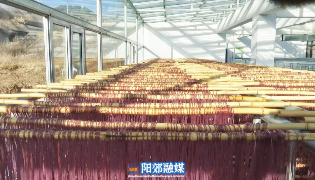 微信图片_20231227095331