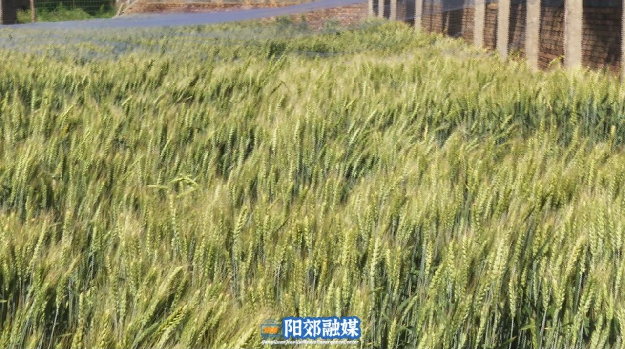 微信图片_20240620140812