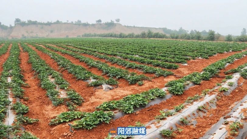 微信图片_20240812143258