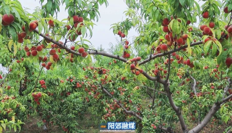 微信图片_20240812143317