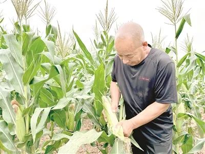 微信图片_20240813091514 微信图片_20240813091514