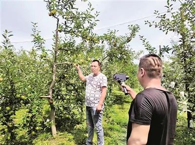 微信图片_20240813092844 微信图片_20240813092844