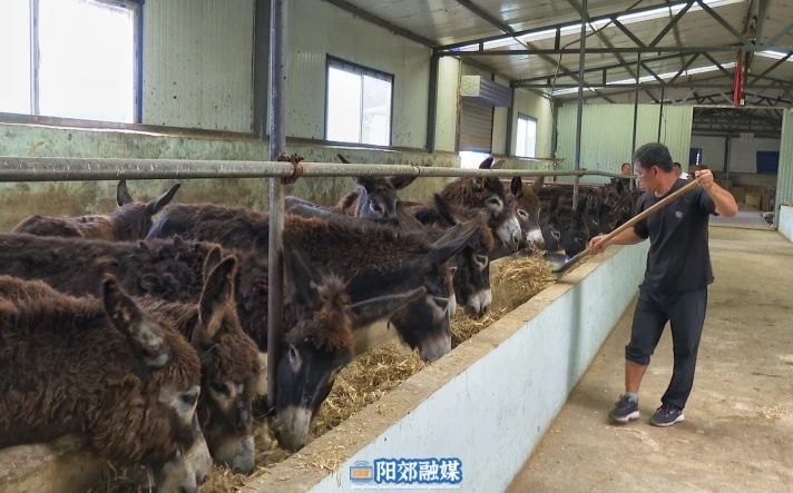 微信图片_20240813095513