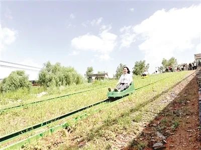 微信图片_20241106102522