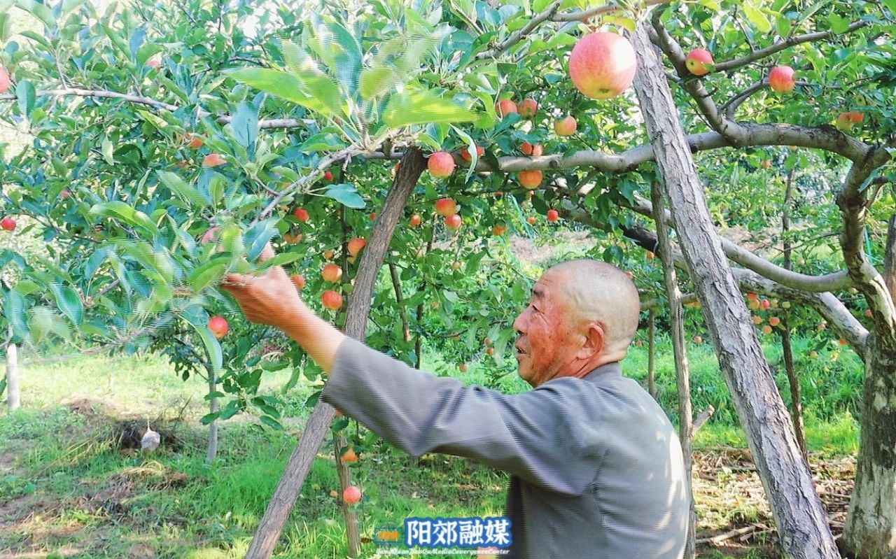 微信图片_20241106104919