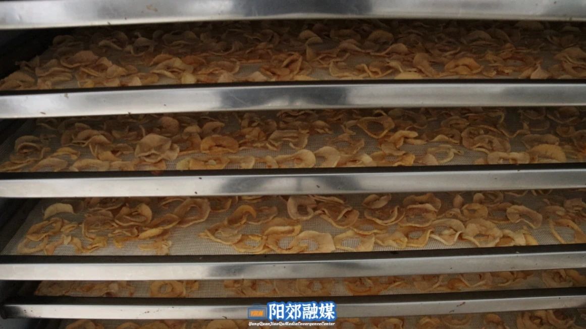 微信图片_20241106110805