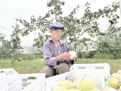 微信图片_20241106113836