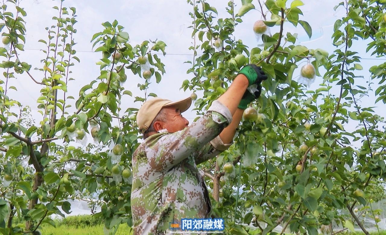 微信图片_20241106113754