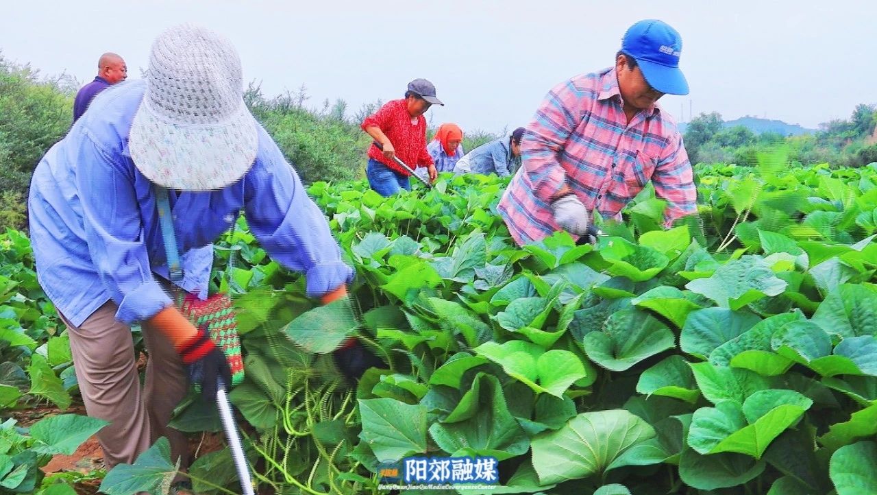 微信图片_20241106142917