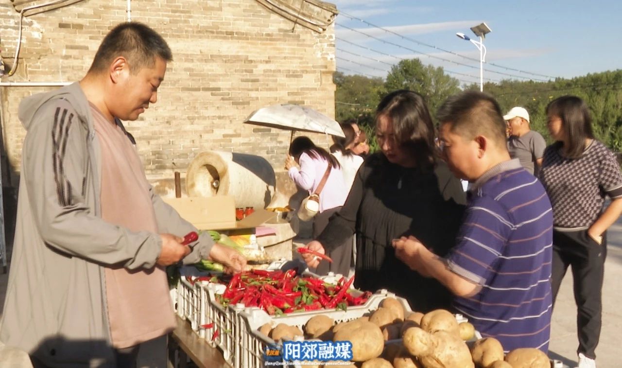 微信图片_20241106143126