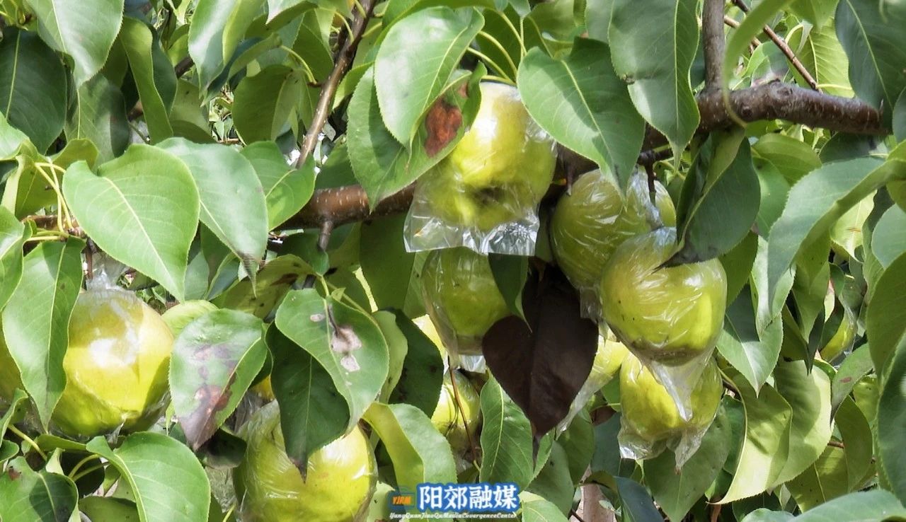 微信图片_20241106144251