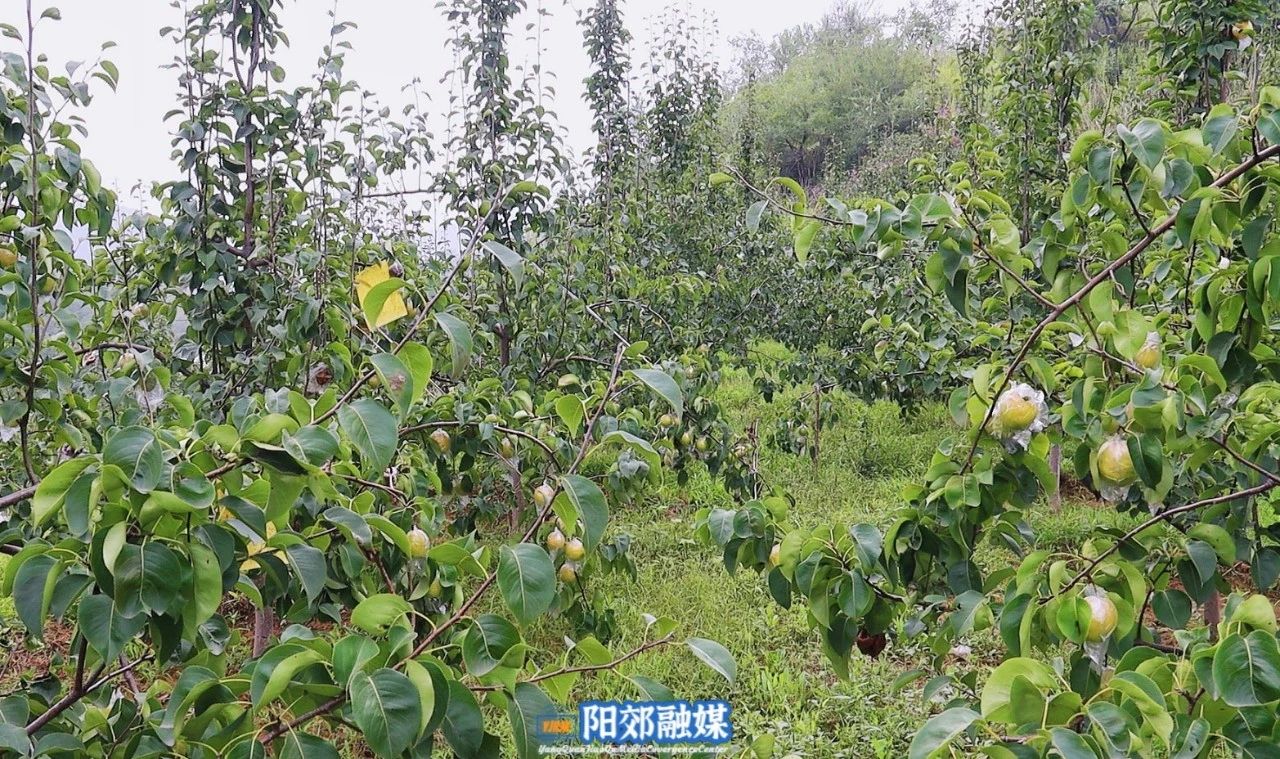 微信图片_20241106145231