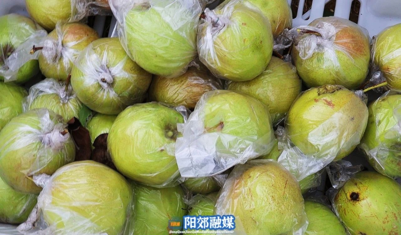 微信图片_20241106145237