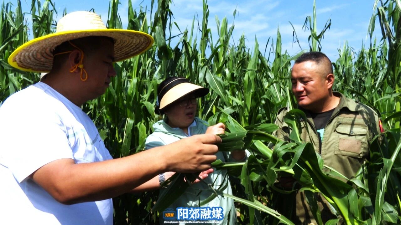 微信图片_2026-07-27_101113_477
